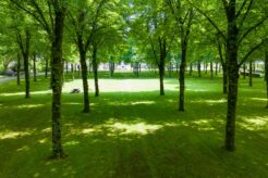 Afbeelding van: Veldhoven – Westervelden – Foto 14